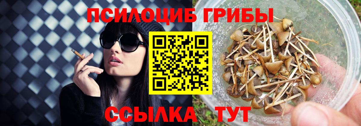 Йошкар-Ола  Галлюциногенные грибы мухоморы  Вход с VPN 